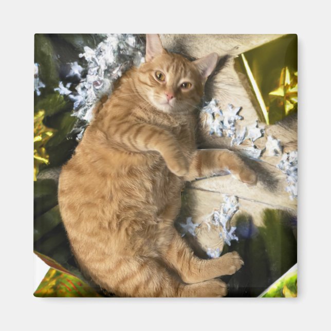 Imã Gatinho de Natal (Frente)