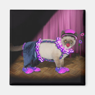 Imã Gatinho de Palhaço Cute