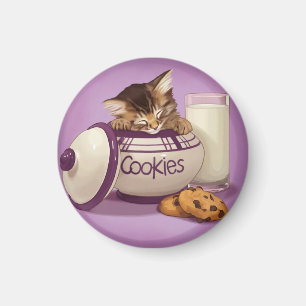 Imã Gatinho do frasco de biscoito