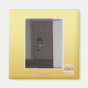 Imã Gatinho do laser