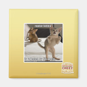 Imã Gatinho do raptor