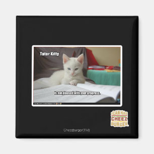 Imã Gatinho do Tutor