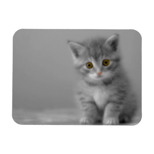 Ímã Gatinho Doce (Horizontal)