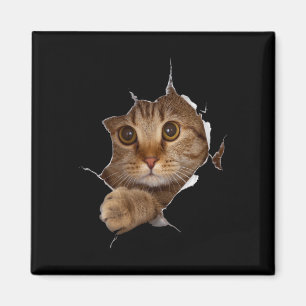 Imã Gatinho Doce Roupa Torta - Gateiro Engraçado