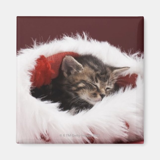 Imã Gatinho dormindo no chapéu de Natal (Frente)