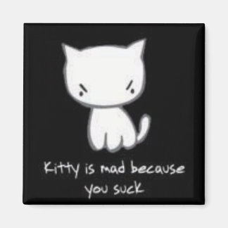 Imã gatinho é louco