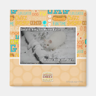 Imã Gatinho furtivo 1