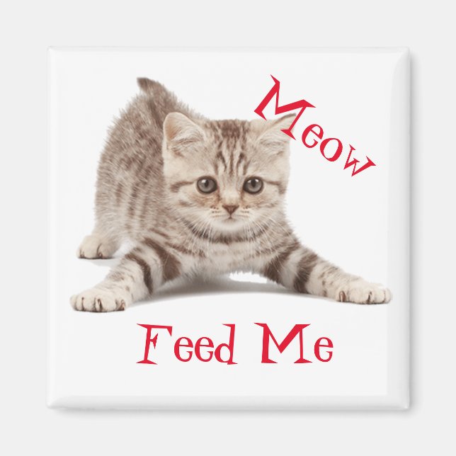 Imã Gatinho Gato (Frente)