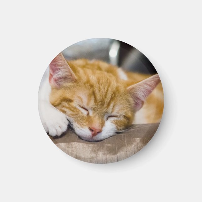 Imã Gatinho Gato (Frente)