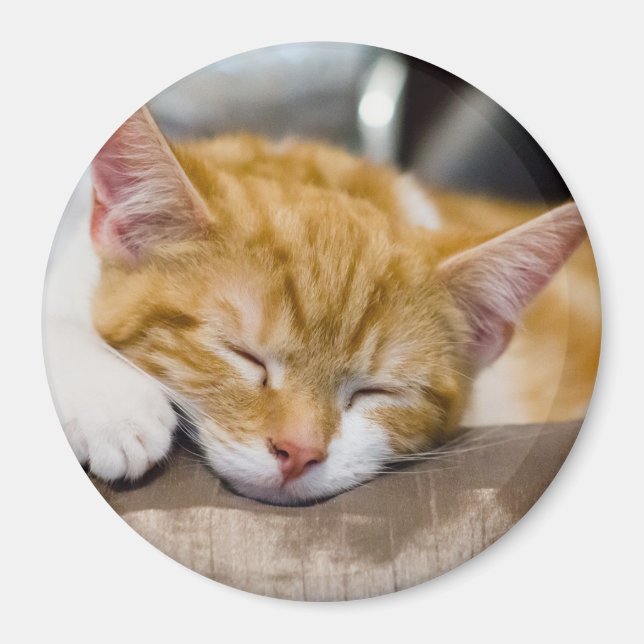 Imã Gatinho Gato (Frente)