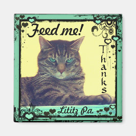 Imã Gatinho Inspirations Magnet, por favor, me dê! Lit