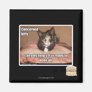 Imã Gatinho interessado