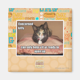 Imã Gatinho interessado