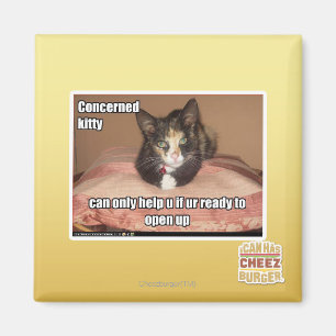 Imã Gatinho interessado