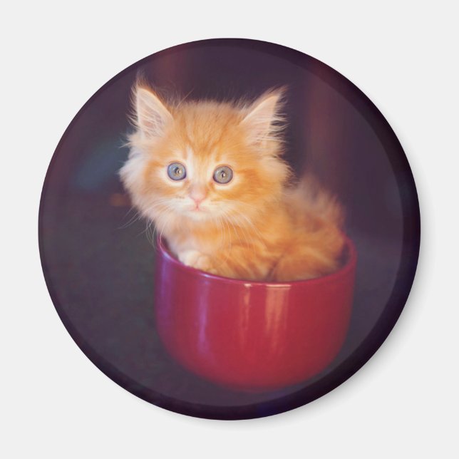 Imã Gatinho Laranja Numa Caneca Vermelha (Frente)