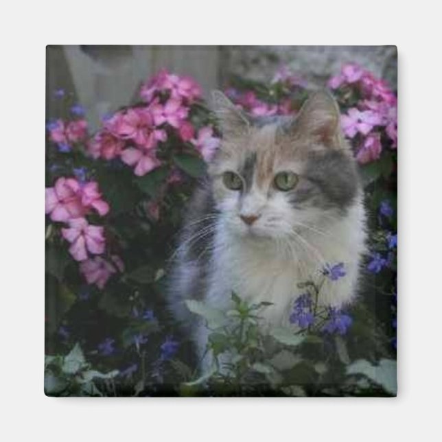 Imã Gatinho Love Magnet (Frente)