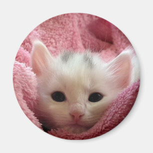 Imã Gatinho macio
