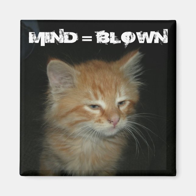 Imã Gatinho "MIND = BLOWN" (Frente)