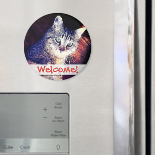 Imã Gatinho na fotografia do Fim-Acima das vigas