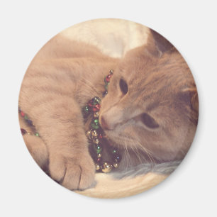 Imã Gatinho Natais vintages