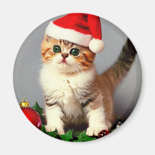 Imã Gatinho natal vintage em Santa Hat