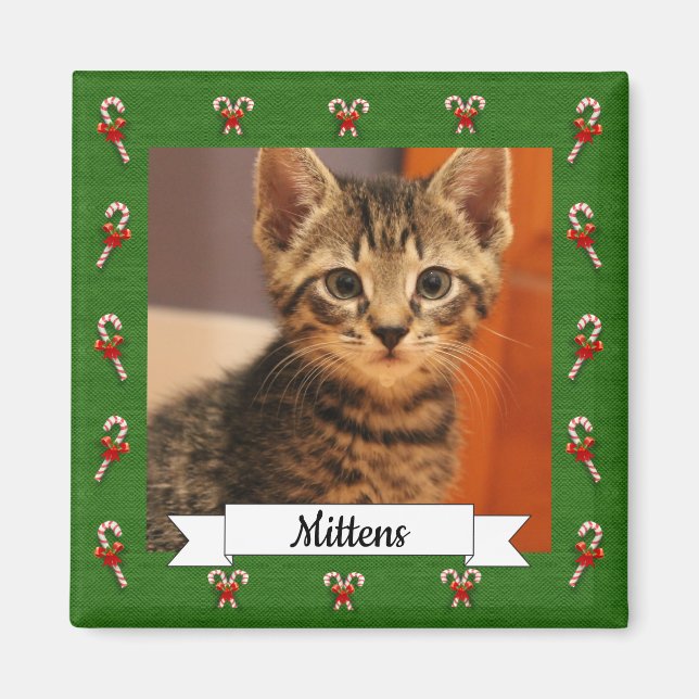 Imã Gatinho Personalizável de Quadro Verde Candy Cane (Frente)