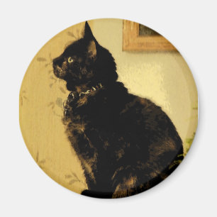 Imã Gatinho pintado