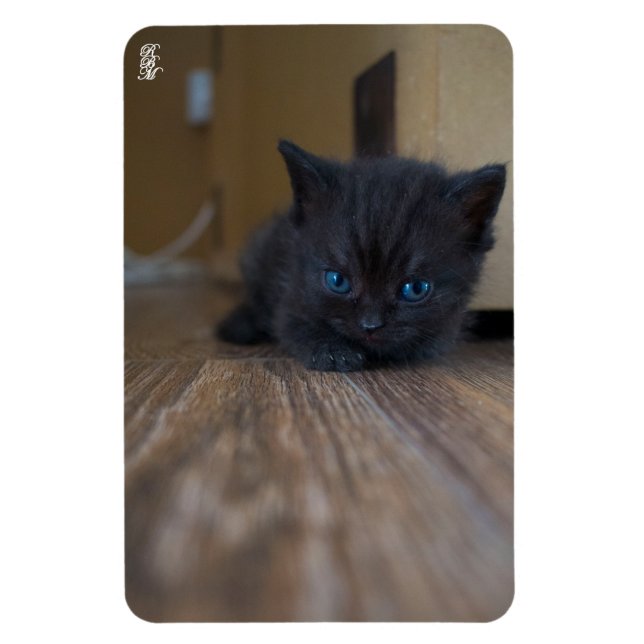 Ímã Gatinho Preto (Vertical)