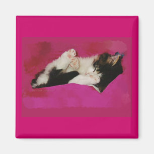 Imã Gatinho sonolento no rosa