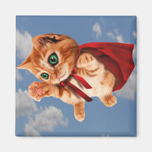 Imã Gatinho super