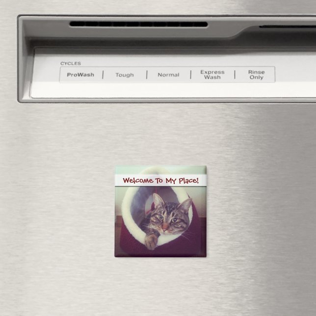 Imã Gatinho Tabby Na Fotografia De Fechamento Do Hut (In Situ (Dishwasher))