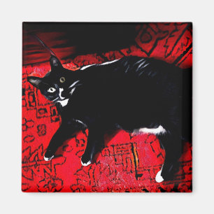 Imã Gatinho Tuxedo no ímã Red Rug