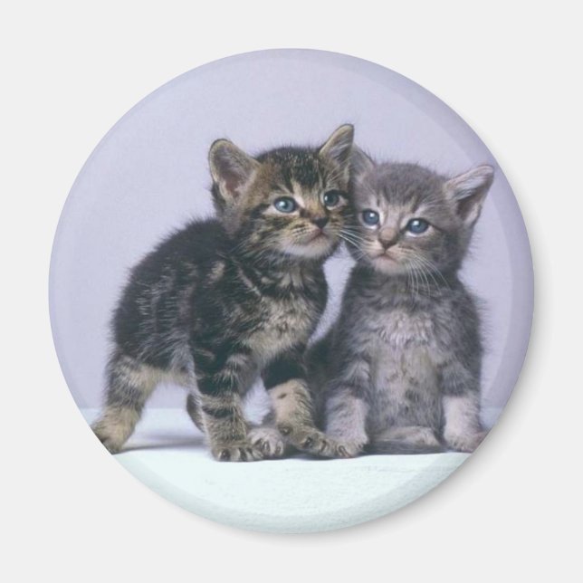 Imã gatinhos (Frente)
