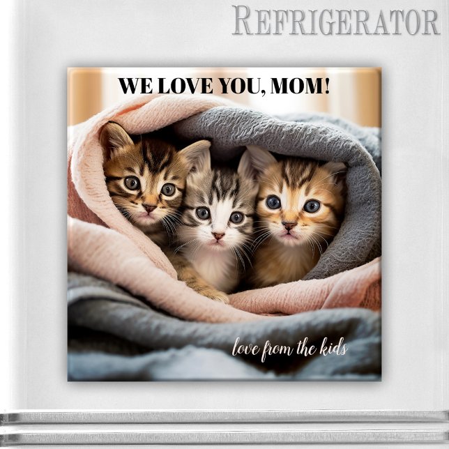 Imã Gatinhos bonitos, melhor Gato, Dia de as mães Magn (A cute magnet featuring three kittens wrapped in a cozy warm blanket - nice for Mother's Day)