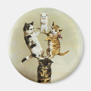 Imã Gatinhos bonitos que jogam, humor dos gatos do