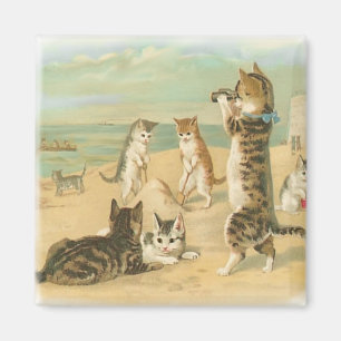 Imã Gatinhos da praia
