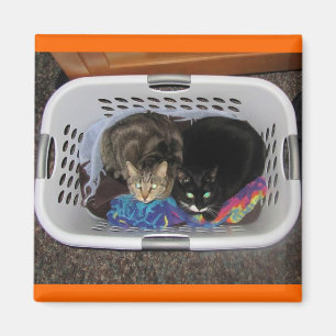 Imã Gatinhos de cesta