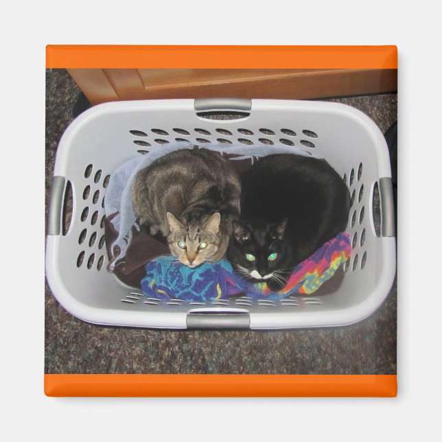 Imã Gatinhos de soquete (Frente)