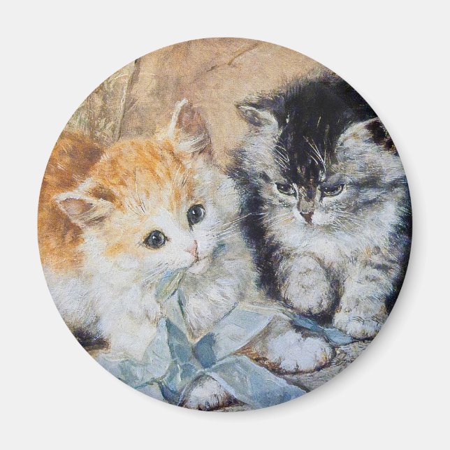 Imã Gatinhos no Play (Frente)