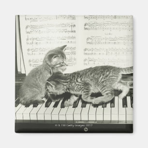 Imã Gatinhos que jogam o piano