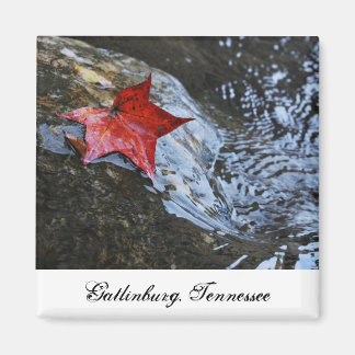 Imã Gatlinburg Leaf Magnet
