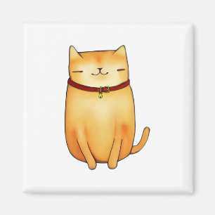 Imã Gato