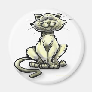 Imã Gato