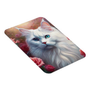 Ímã Gato