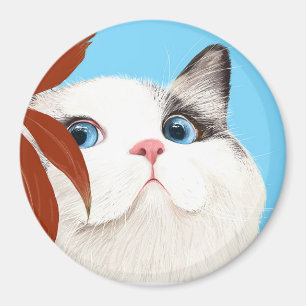 Imã Gato