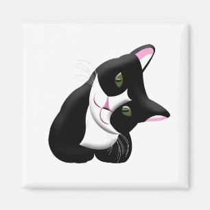 Imã Gato