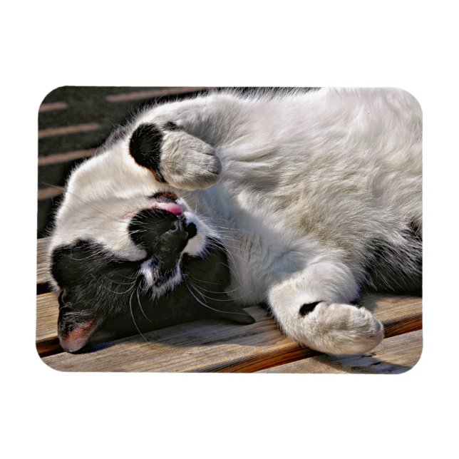 ÍMÃ GATO (Horizontal)