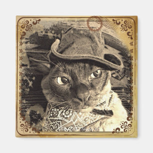 Imã Gato 3 do vaqueiro