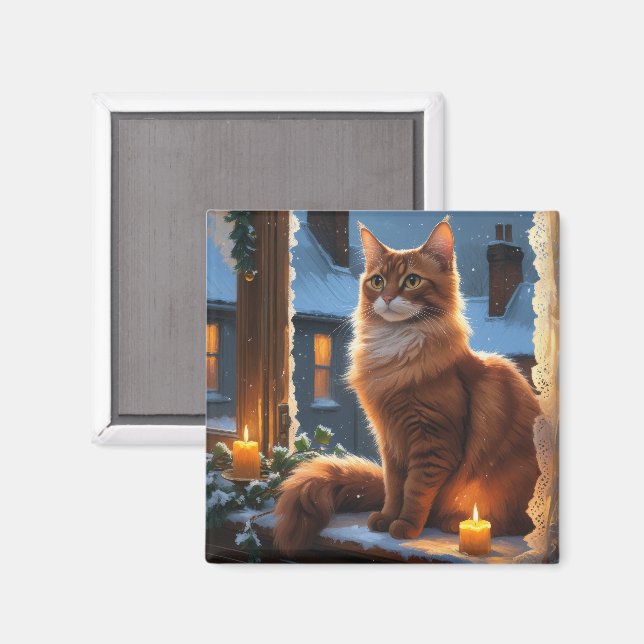 Imã Gato Abissínio com Luzes de Natal Feriado (Front/Back)
