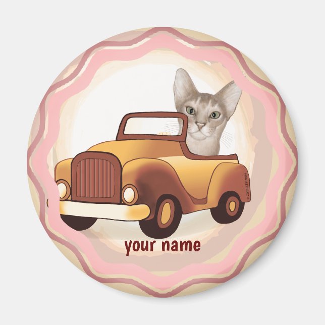 Imã Gato Abissínio Dirigindo Carro  (Frente)